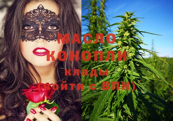стафф Каменка