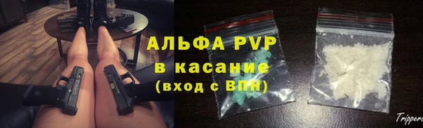 стафф Каменка