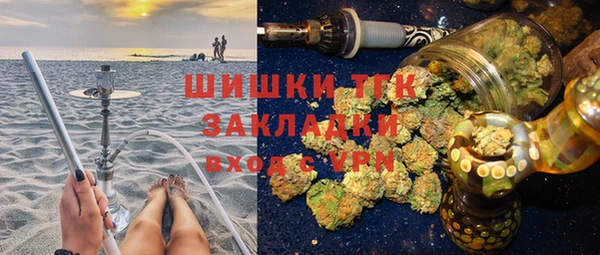 стафф Каменка