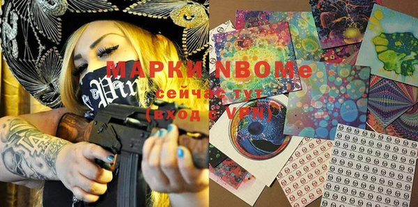 стафф Каменка