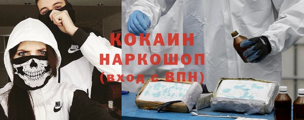 стафф Каменка