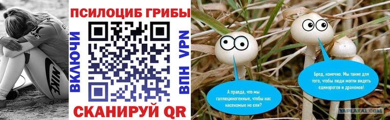 Галлюциногенные грибы GOLDEN TEACHER  Купить  Горняк 